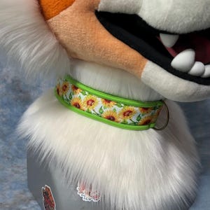 Peut inclure: Gros plan sur une tête d'animal poilue, blanche et orange, avec un collier à motif de tournesols. Le collier a une bordure verte et un anneau métallique. La gueule de l'animal est ouverte, révélant des dents blanches et un intérieur rose.