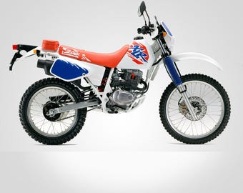 Sticker Decal Honda XR250 1989 Side Cover Fuel Gas Tank - Etsy
