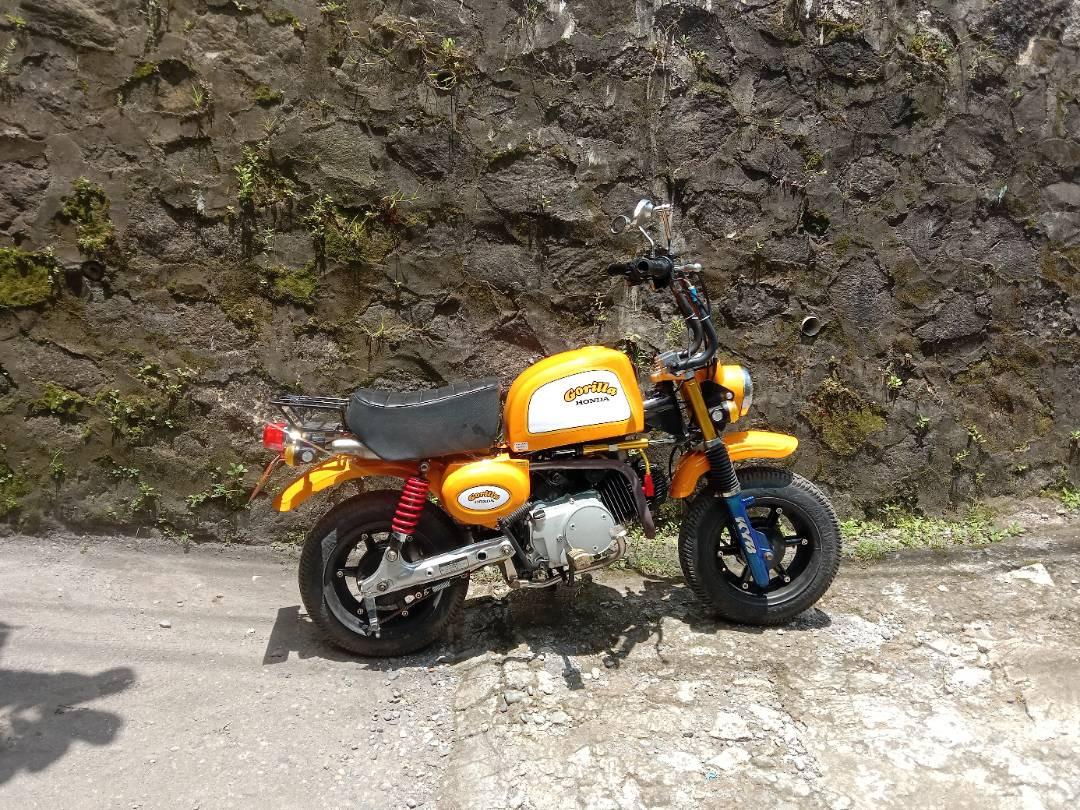 Sticker Decal Honda Z50 Gorilla Yellow White Side Cover Fuel Gas
