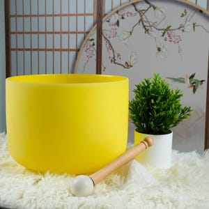 10&quot; E Note Full-Color Crystal Singing Bowl – 432Hz Quartz Sound Bowl for Chakra Sound Bath, Vibrational Therapy & Meditation
