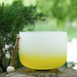 10" Crystal Singing Bowl 432Hz – E Note Chakra Sound Healing and Christmas gifts