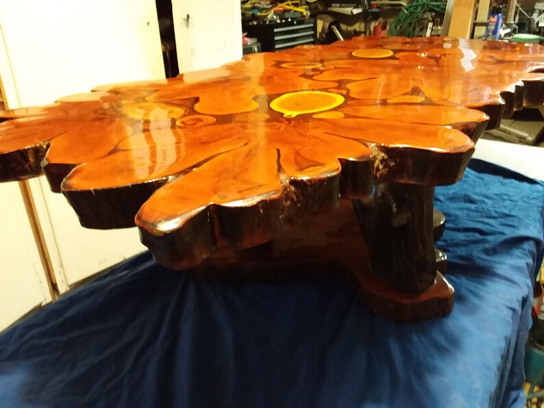 Vintage Burl Wood Coffee Table. Thick Cut Live Edge Redwood Etsy