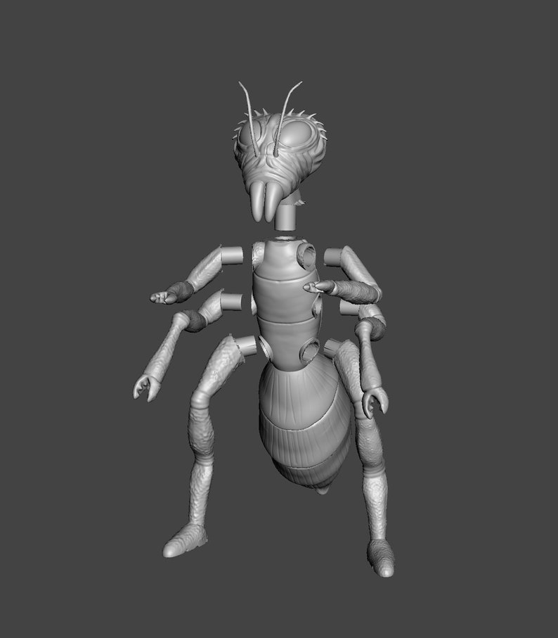 May include: A gray, segmented, articulated model of an ant. The model is posed standing with its legs spread out. The model is made of plastic and has a detailed, realistic design.