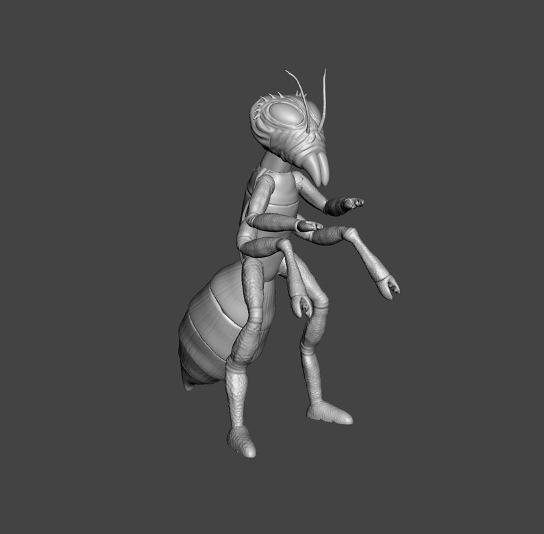 May include: A 3D model of a gray ant with a detailed head and segmented body. The ant is standing on its hind legs with its front legs raised.