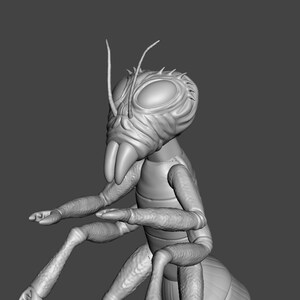 May include: A 3D model of a gray, insect-like creature with large eyes and segmented legs. The creature is posed in a sitting position with its front legs extended.