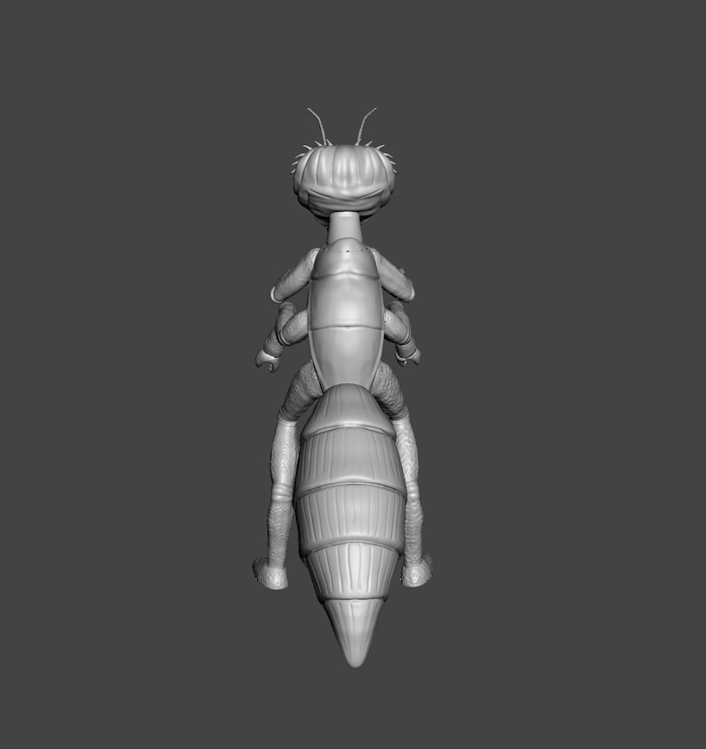 May include: A 3D printed model of a gray insect with segmented body parts and long legs. The insect is posed in a standing position with its head facing forward.