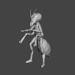 May include: A 3D printed model of a gray ant with a detailed head and segmented body. The ant is standing on all six legs with its front legs raised.