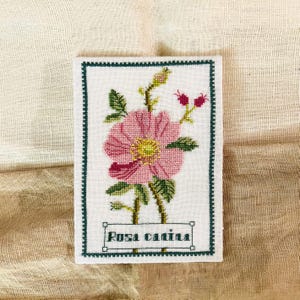 Può includere: Un ricamo a punto croce di una rosa rosa con foglie e steli verdi. Il ricamo è incorniciato da un bordo verde e include il testo "Rosa canina".