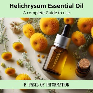 Helichrysum essential oil | Complete guide to essential oil | Properties | Aromatherapy | How to use essential oils to improve health