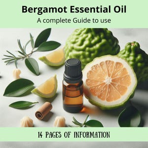 Bergamotte ätherisches Öl | Kompletter Ratgeber für ätherisches Bergamotteöl | Aromatherapie | Eigenschaften | Verwendung von ätherischen Ölen zur Verbesserung der Gesundheit