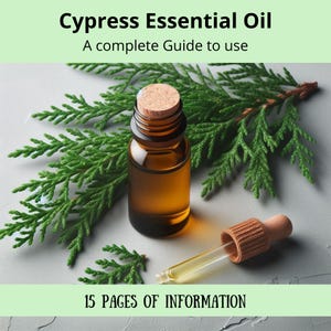 Cypress essential oil | Complete guide to cypress essential oil | Properties | Aromatherapy | How to use essential oils to improve health |