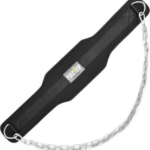 May include: Black dip belt with a silver chain and D-rings. The belt has a padded design for comfort and features the brand name "POZ EV Dip Belt" on a label. Ideal for weightlifting and strength training.