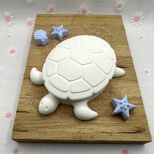 Könnte beinhalten: Eine weiße Schildkrötenskulptur mit strukturierter Schale, umgeben von zwei hellblauen Seesternen und einer Muschel. Die Schildkröte befindet sich auf einem Holzbrett mit Sand, was ein Strandthema hervorruft. Der Hintergrund ist weiß mit Gänseblümchenmustern.