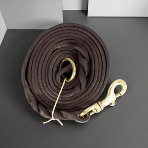 4ft Genuine Leather Dog Leash | Heavy Duty Braided Training Lead for Medium & Large Dogs | Soft and Durable with Brass Hook