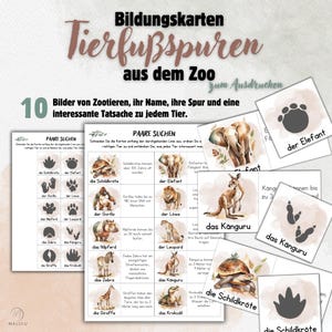 Tierfußspuren-Karten - Abenteuer aus dem Zoo - Realistische Tierfussspuren-Karten zum Ausschneiden und Zuordnen