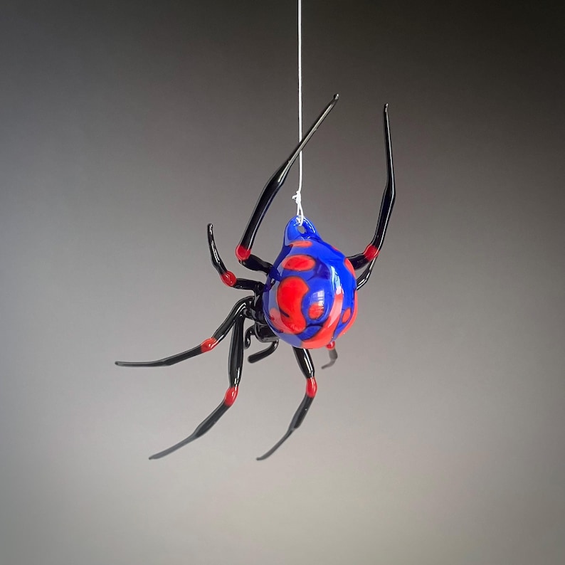 May include: A glass spider ornament hanging from a white string. The spider is black with red spots and a blue abdomen.