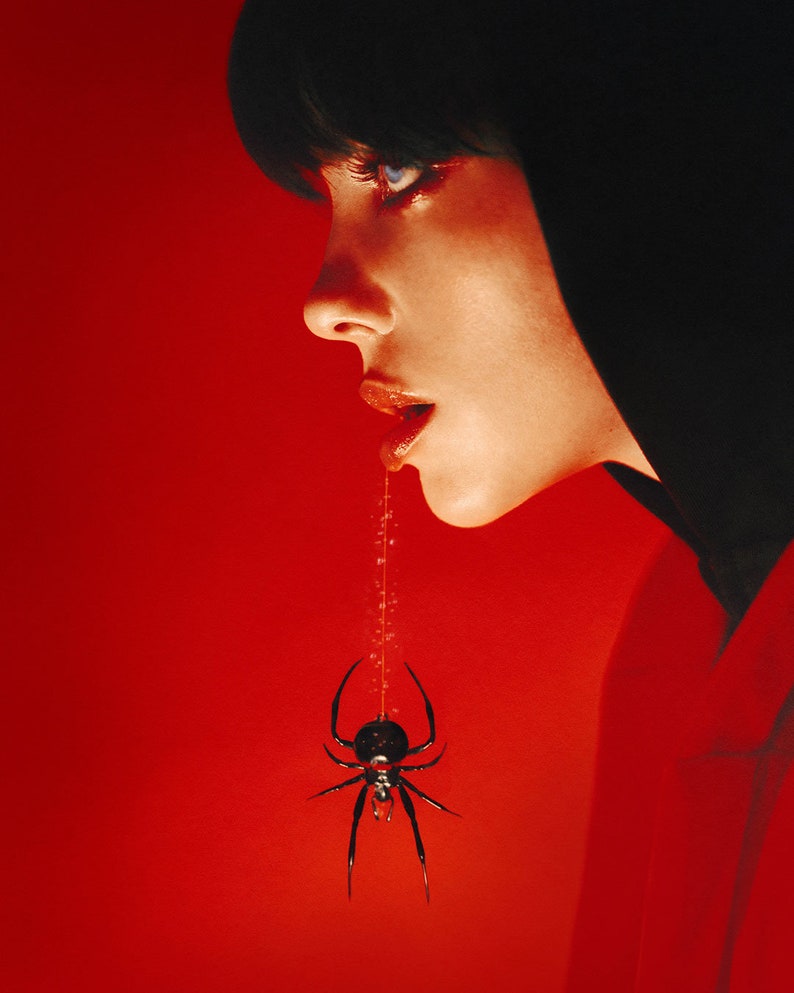 Art Glass Black Widow Spider Bild 4