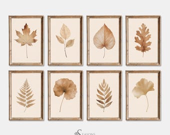 May include: Eight framed botanical prints showcasing dried leaves in brown and beige tones. Each leaf is centered on a cream background within a wooden frame. The prints are arranged in two rows of four, creating a cohesive display.