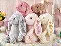 Embroidered Bunny Rabbit,Personalised Bunny Rabbit Toy,Custom Monogrammed Bunny Rabbit,Bunny Soft Plush Toy,Flower Girl Gift,Easter Gifts product logo