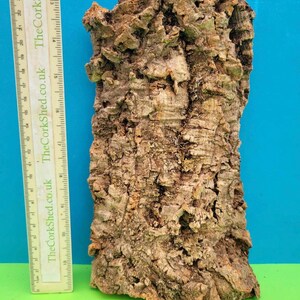 May include: A piece of natural cork bark with a rough, textured surface. The bark is a mix of brown and tan colours, with a ruler in cm next to it. TheCorkShed.co.uk is printed on the ruler.