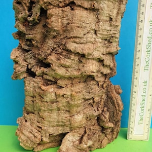 May include: A large piece of natural cork bark, measuring approximately 46 cm in length, with a rough, textured surface. The bark is a light brown colour and has a natural, organic look.