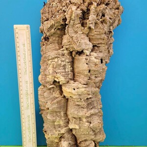 May include: A large piece of natural cork bark with a rough, textured surface. The cork is a light brown colour with darker areas and visible layers. A ruler is placed next to the cork, with the text "TheCorkShed.co.uk" printed on it.