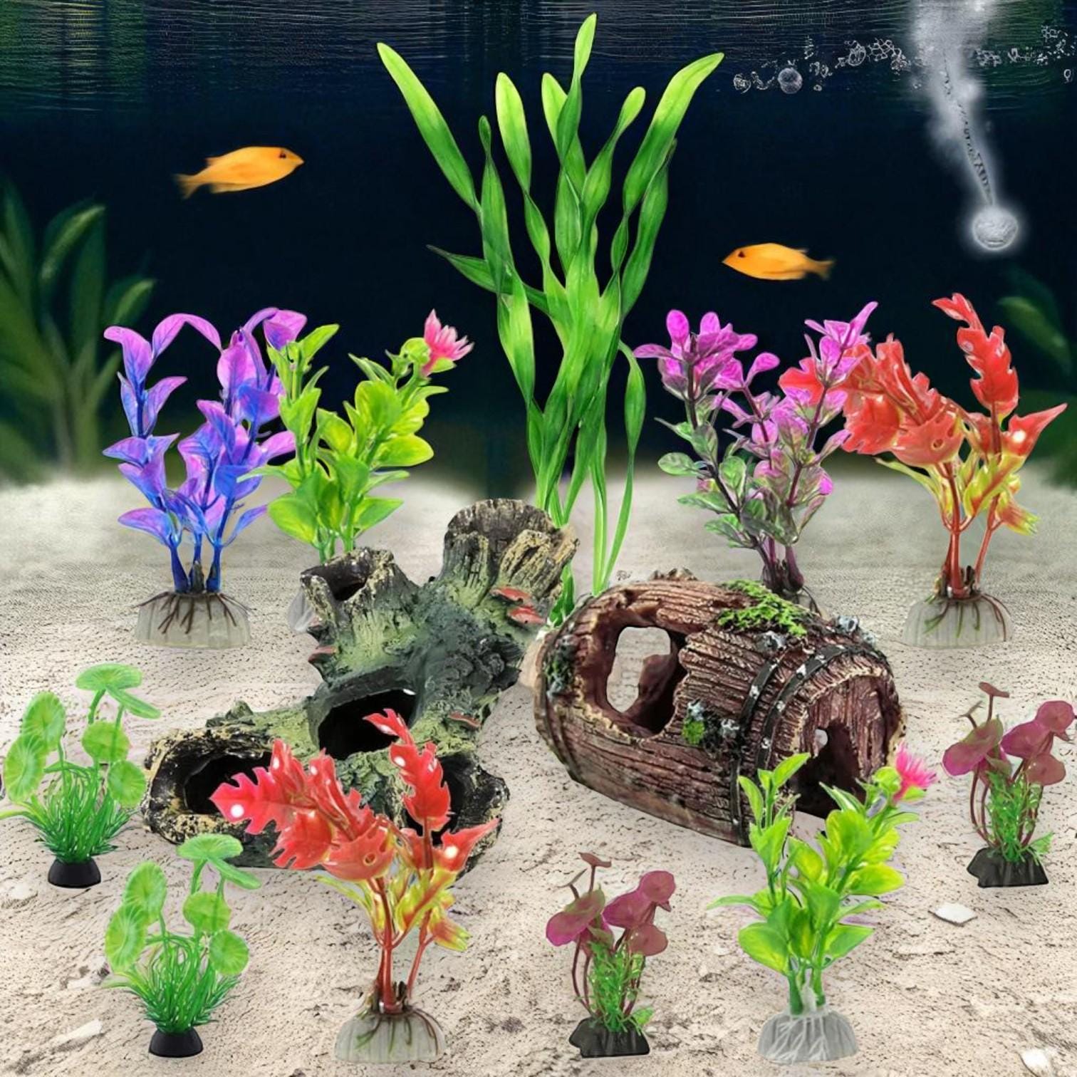 Cichlid Fry Hiding Places: Top Safe Spots for Healthy Growth