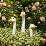 Garden Decor