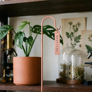 Custom Copper Plant Tag, H2 Red Copper Plant Marker, Hanging Plant Label, Indoor Plant Name Tag, Minimalist Plant Decor