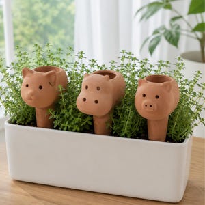 Set of three cute terracotta animal plant watering spikes, including pig, hippo and lion designs, placed in a white indoor planter with green houseplants.