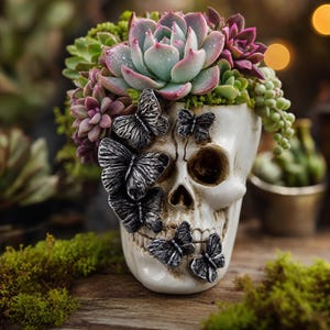 May include: A white skull-shaped planter featuring several dark grey butterfly embellishments on its surface. The planter is filled with a variety of green and purple succulents, some of which have small water droplets on their leaves.
