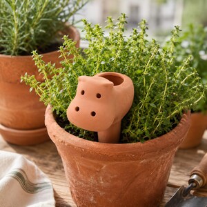 May include: A terracotta plant watering spike shaped like a hippopotamus head, featuring a hollow top opening and four small circular holes on the snout, inserted into a terracotta pot filled with green herbs and soil for plant hydration.