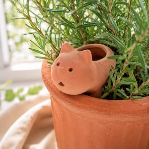May include: A terracotta plant pot accessory shaped like a cat head with two pointed ears, two small circular eyes, and a small open mouth. The cat-shaped figure is nestled into the soil of a larger terracotta pot containing a green rosemary plant.