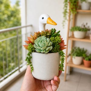 May include: A white ceramic planter shaped like a goose head, filled with a variety of green and orange succulents, including a central rosette, trailing string of pearls, and small leafy clusters, all arranged in a cylindrical pot.