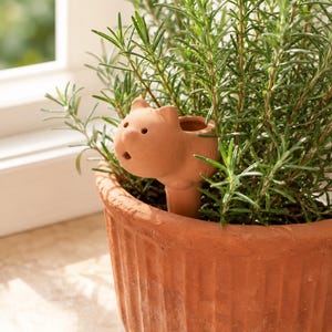 May include: A terracotta plant watering spike shaped like a cat with a hollow opening at the top and a pointed base inserted into the soil of a ribbed terracotta pot containing a green rosemary plant, positioned near a window frame.