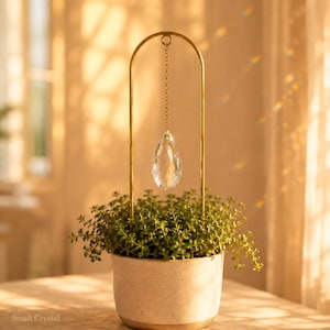 May include: A small potted plant with green foliage sits in a cream-colored ceramic pot. A gold-colored metal arch holds a clear, teardrop-shaped crystal pendant suspended by a chain. The text "Small Crystal" is visible.
