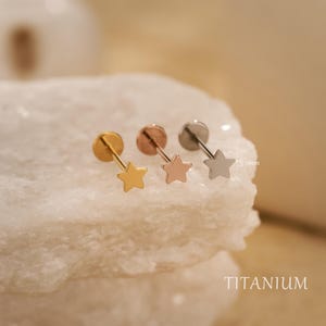 以下が含まれることがあります： 金、ローズゴールド、シルバーの星型のスタッドピアス3つ。ピアスは白く、質感のある表面に表示されています。「TITANIUM」の文字が右下に白で印刷されています。