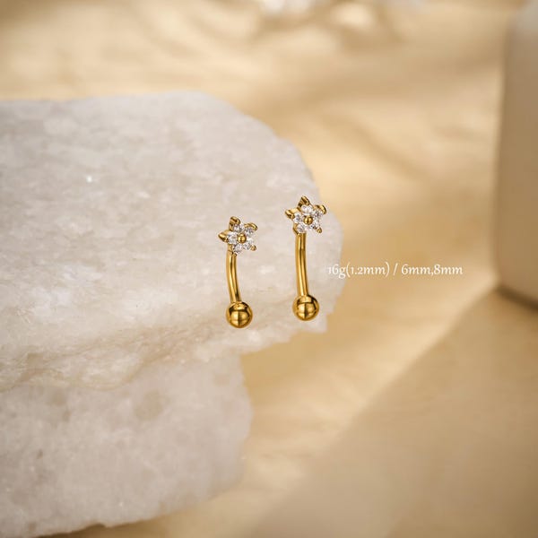 16G Rook Piercing | Sugical Steel Eyebrow Ring | CZ Flower Daith Earring | Jewelry Gifts