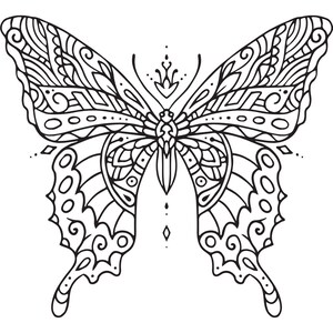 May include: A black and white line drawing of a butterfly with intricate details on its wings.