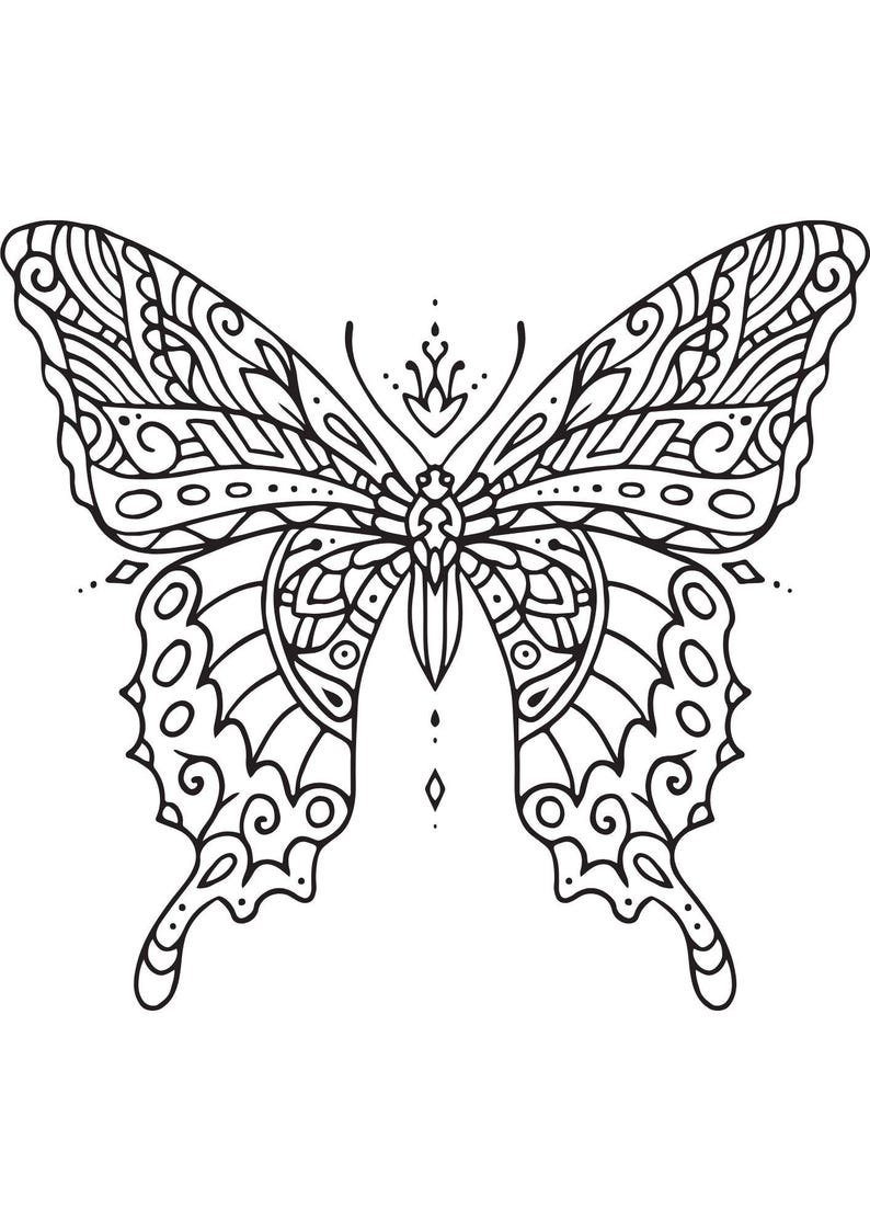 May include: A black and white line drawing of a butterfly with intricate details on its wings.