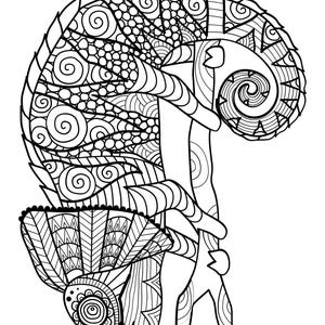 May include: A black and white line drawing of a chameleon with intricate patterns on its body and tail. The chameleon is perched on a branch with its tail curled around it.