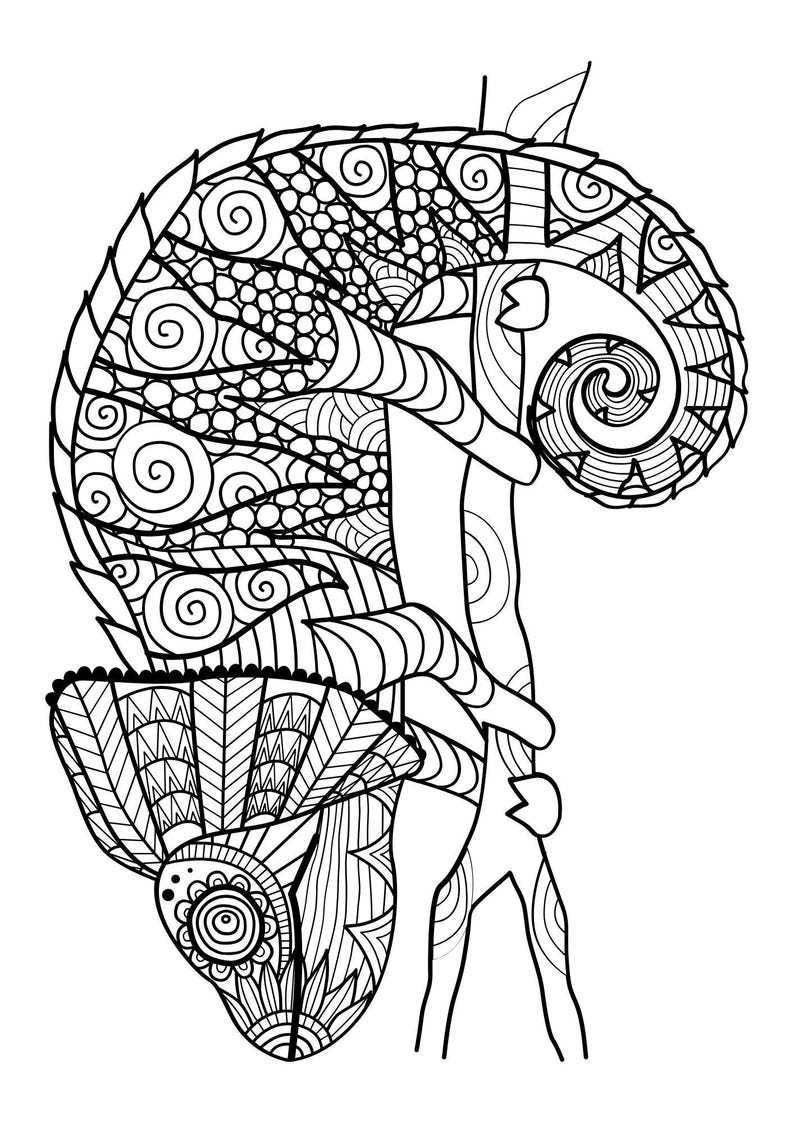 May include: A black and white line drawing of a chameleon with intricate patterns on its body and tail. The chameleon is perched on a branch with its tail curled around it.