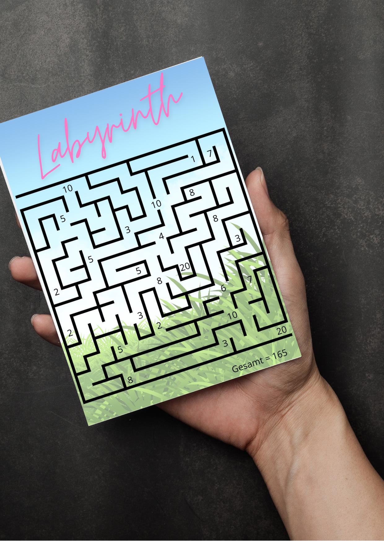Labyrinth Savings Challenge