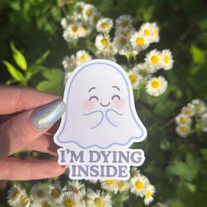 Ich sterbe im Inneren Geist Aufkleber - glänzend laminierter, wasserfester, niedlicher Dark Humor Mentaler Gesundheit Aufkleber für Laptop oder Journal