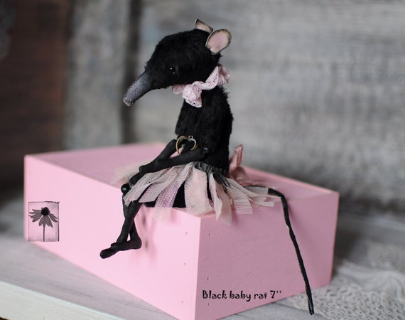 doll rat