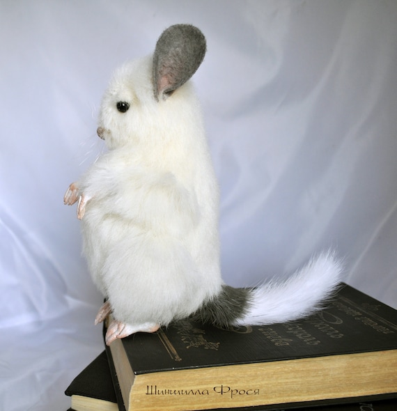 chinchilla doll