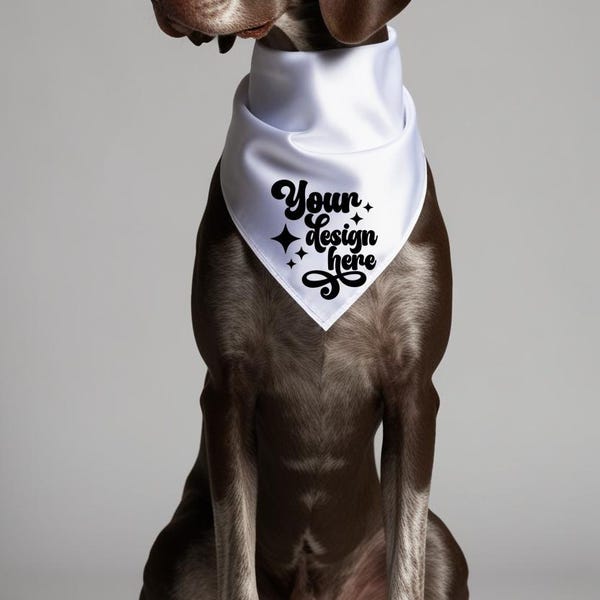 Dog Mockup White handkerchief Mock Up Poodle Mockup Dog scarf Mock up Mockup dog clothes Mockup JPEG Digital