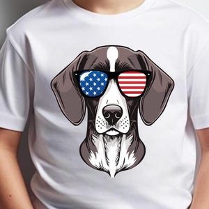 German Shorthair Pointer Png, GSP America Sunglasses, Dog Sublimation Png, America png, Cool dog png,  file Digital Design