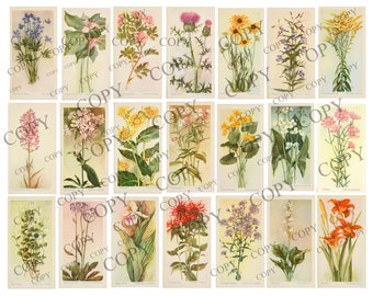 Botanical Wild flowers junk journal tags Digital Download