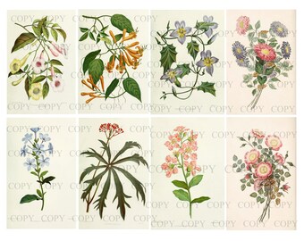 Botanical Wild flowers junk journal tags Digital Download #7